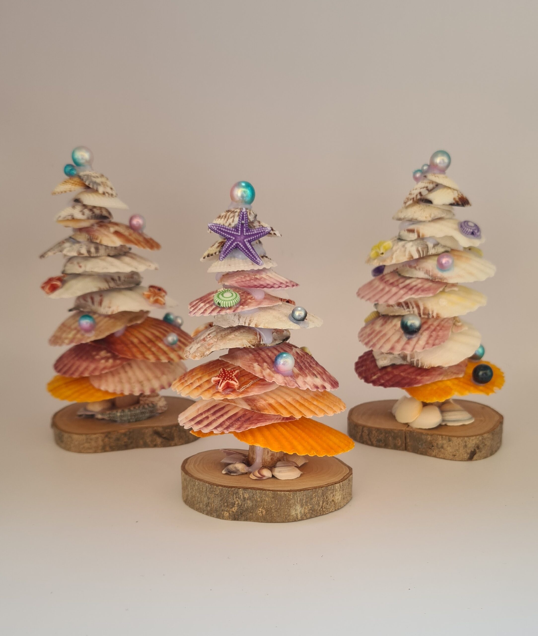 Centre de table "Sapin coquillage" 3 20260706 154617